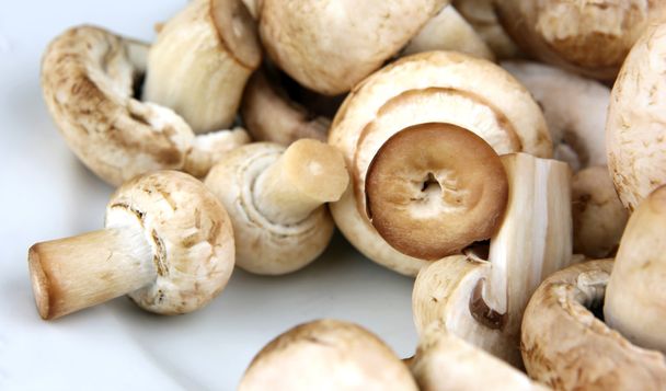 verse champignons stockfoto - Foto, afbeelding