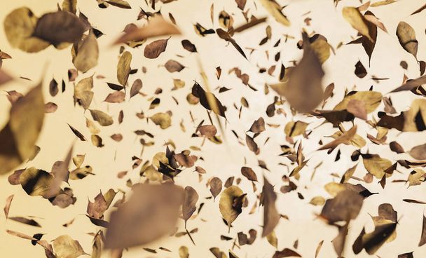 beige abstract background of autumn leaves with selective focus falling. winter and autumn concept. 3d render - Φωτογραφία, εικόνα