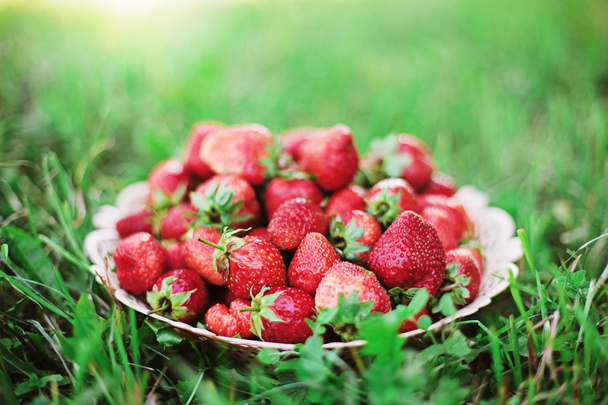 Strawberry. - Foto, afbeelding