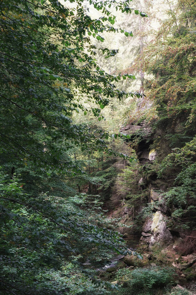 Сентябрь в Гигантских горах, скала на берегу горного потока в зарослях деревьев на склоне горы, поход в солнечный день, осенний пейзаж - Фото, изображение