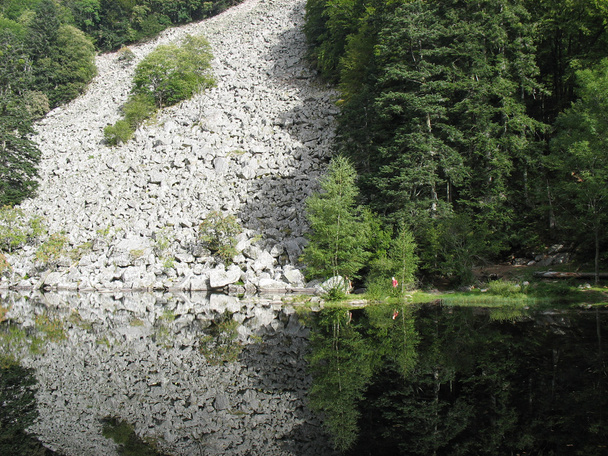 zrcadlo jezera ve Vogézách  - Fotografie, Obrázek