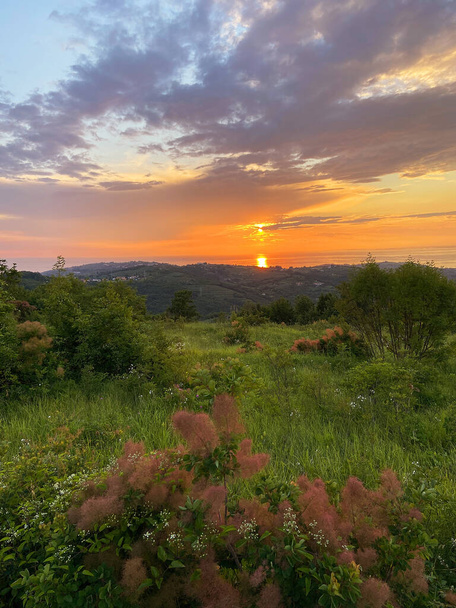 Scenic view to the amazing red sunset at the Adriatic sea, coast in Slovenia at summer. View to green hills and olive trees. Natural backgrounds.  - Photo, Image