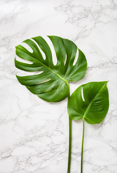 monstera leaf tropical plant on gray marble background - Фото, изображение