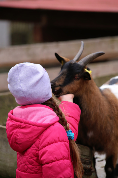 una niña con una cabra
 - Foto, Imagen