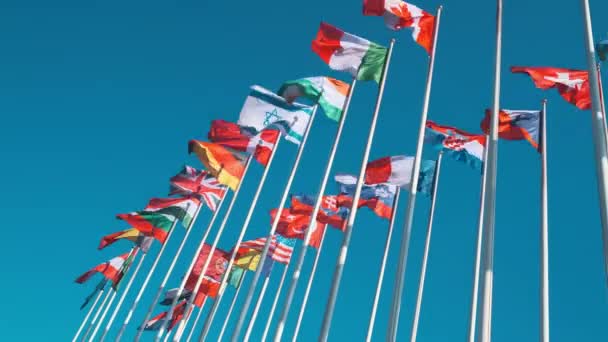 Různé vlajky třepetající se na vlajkových stožárech - Záběry, video
