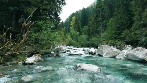 Πανόραμα του ποταμού Sarca - Κοιλάδα Γένοβα Δολομίτες - 5K - Πλάνα, βίντεο