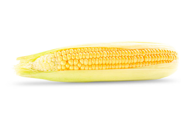 Kukorica vízszintes helyzetben fehér alapon, kukoricafej-izolátum - Fotó, kép