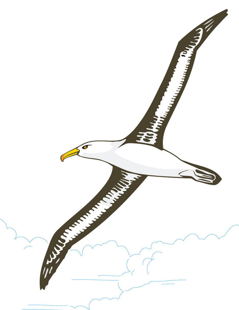 preto branco gaivota mosca pássaro vetor ilustração transparente fundo - Vetor, Imagem