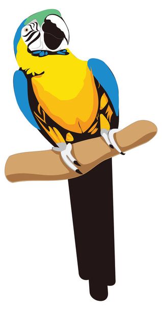 kék sárga arany aroma papagáj madár vektor illusztráció átlátszó háttér - Vektor, kép