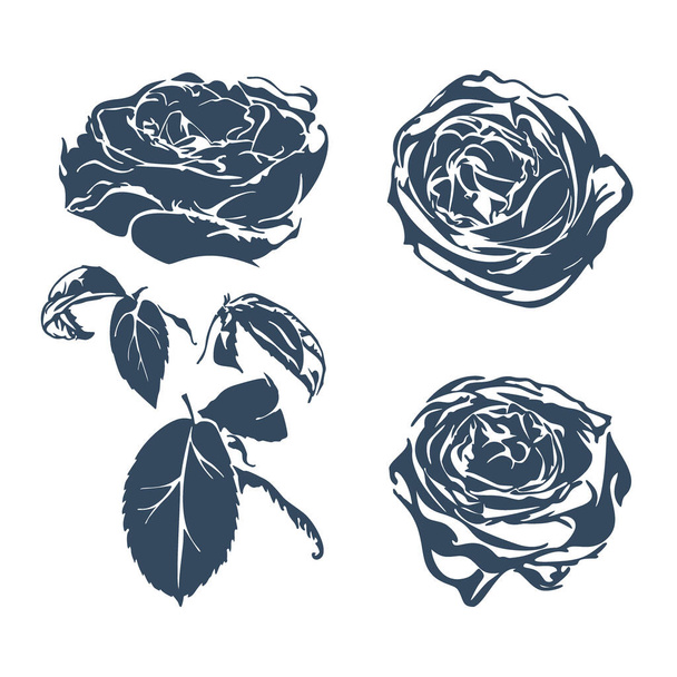 Einfarbige Illustration von Rosen auf weißem Hintergrund. Vektor. - Vektor, Bild