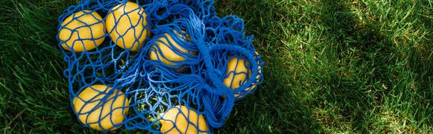 верхний вид спелых лимонов в синей нитке мешок на траве, баннер - Фото, изображение