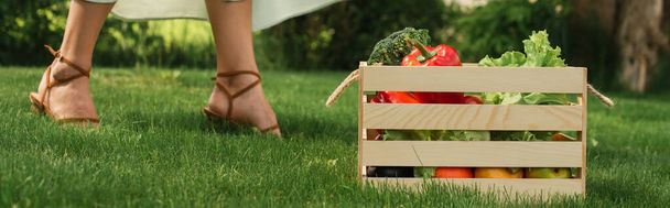 vista ritagliata della donna in piedi vicino a un contenitore di legno con verdure sull'erba, banner - Foto, immagini
