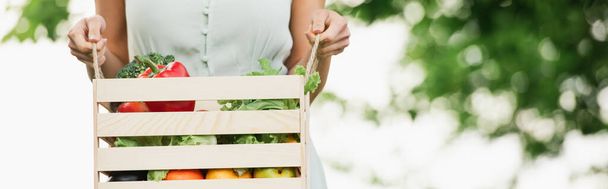 cropped view of woman holding wooden box with vegetables, banner - Foto, Imagem