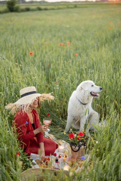 Жінка з собакою на пікніку на природі
 - Фото, зображення