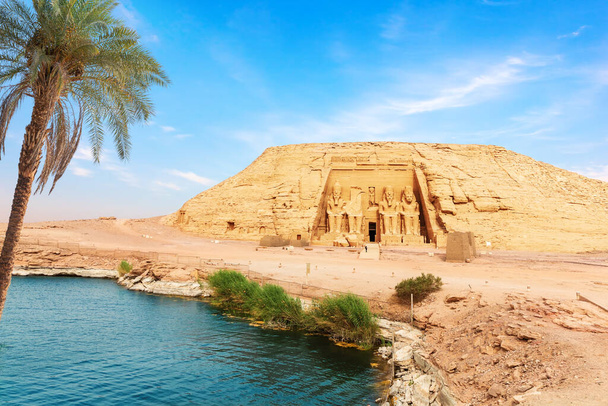 Palma na brzegu Nilu w Świątyni Abu Simbel, Egipt - Zdjęcie, obraz