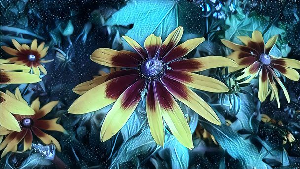 Flor de jardín Rudbeckia en una noche de verano en un macizo de flores - Foto, Imagen
