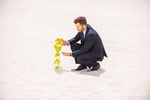 Man in formal wear with growing out of sand - Photo, Image