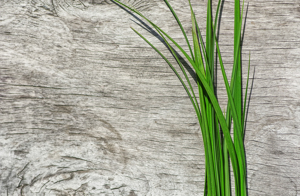 zelené trávy na staré dřevo - Fotografie, Obrázek
