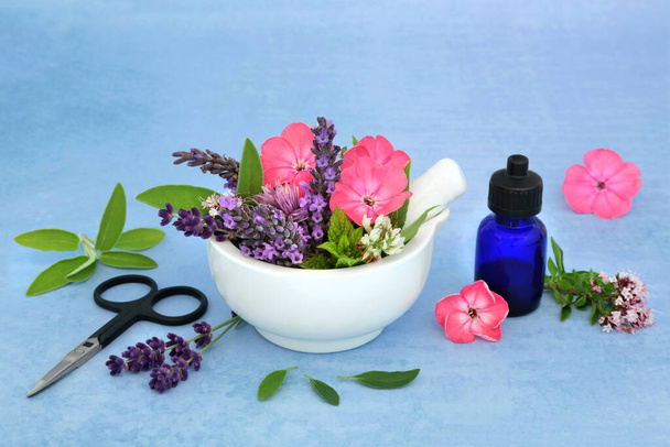 Homeopathische kruidengeneeskunde met zomerbloemen en kruiden in een vijzel met stamper & essentiële olie fles. Stilleven van natuurlijke gezondheidszorg concept. Op gevlekte blauwe achtergrond. - Foto, afbeelding