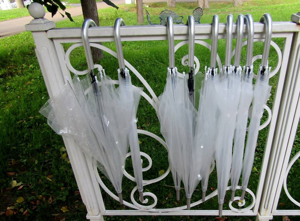 白い庭のフェンスにかかって白いプラスチッククリア傘 - 写真・画像