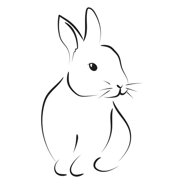 Контурний малюнок кролика, векторна ілюстрація
 - Вектор, зображення