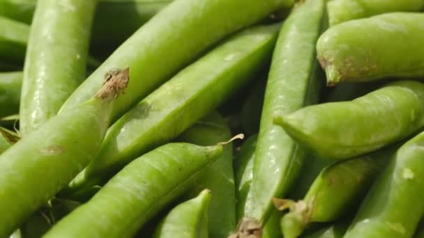 生の緑のエンドウ豆のポッドが回転。スイベルビデオ - 映像、動画