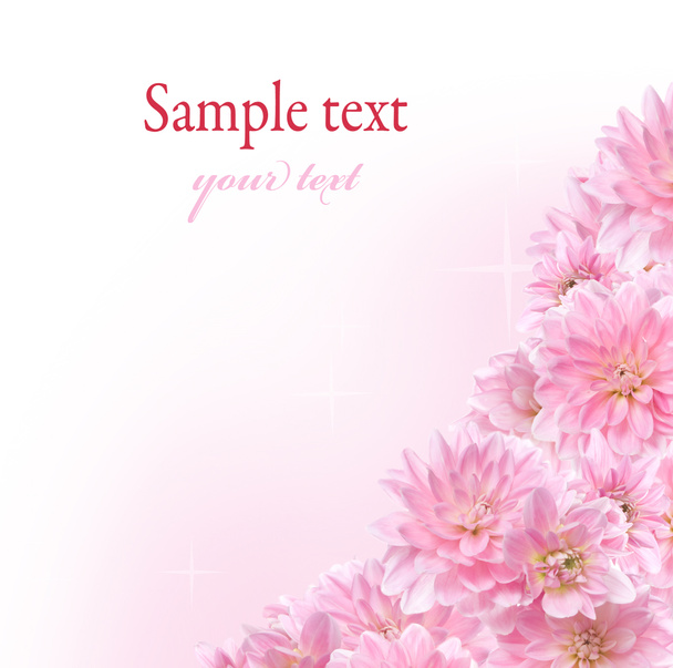 Квіткові кордону з рожевий жоржин - Фото, зображення