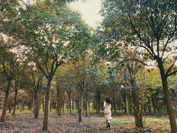 young woman walking in the park - Zdjęcie, obraz