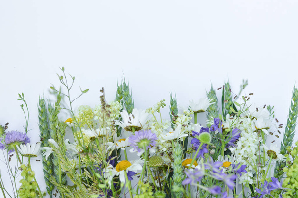 Em um fundo claro com espaço para escrever texto, uma imagem borrada de flores silvestres com espiguetas. Fundo de verão. - Foto, Imagem