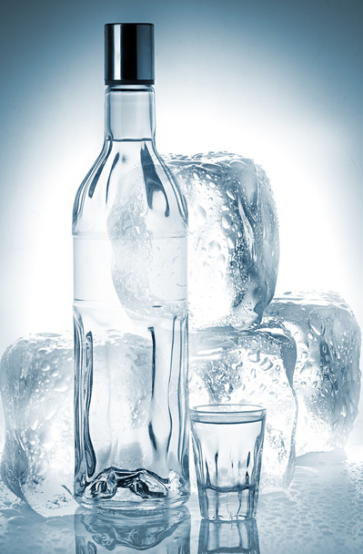 Bottiglia di vodka
 - Foto, immagini