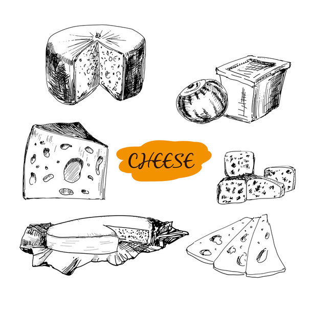 Käse - Vektor, Bild