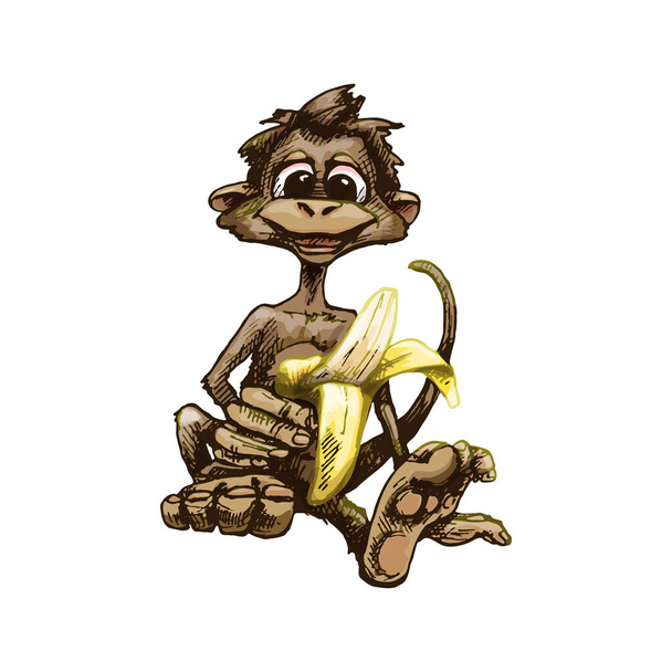 Monkey holding banana half peeled. Vintage vector hatching illustration - Vector, Image