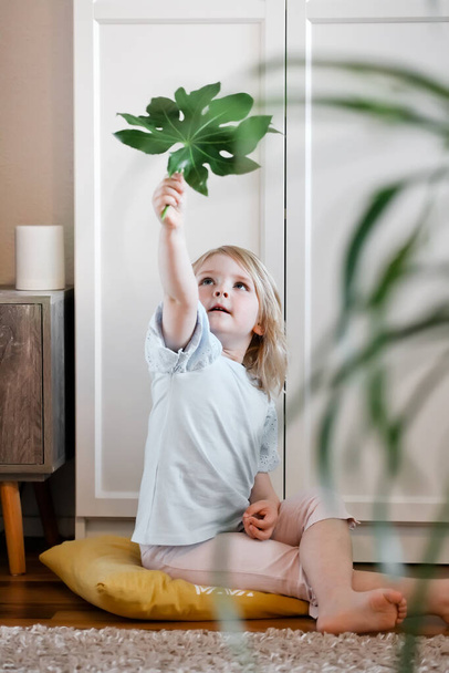 Little girl sitting on the floor in living room and playing with exotic plant leaf - Foto, afbeelding