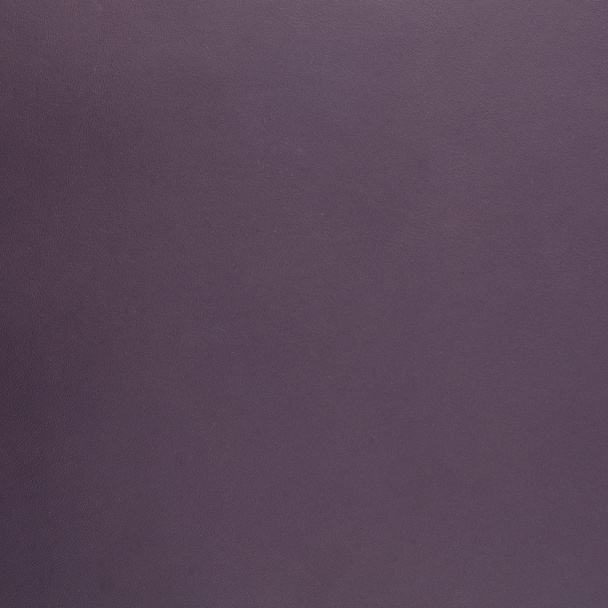 Violet leather - Фото, зображення