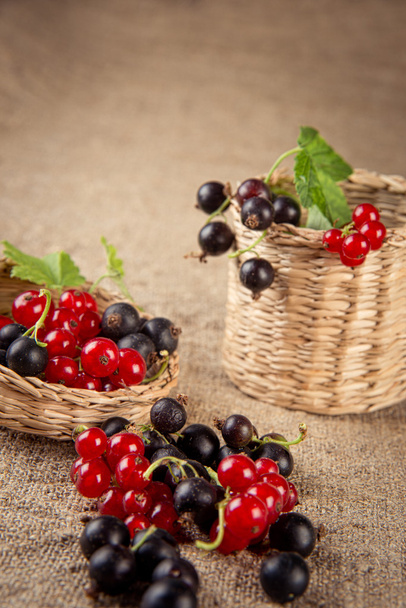 Red and black currant in a basket - Foto, imagen