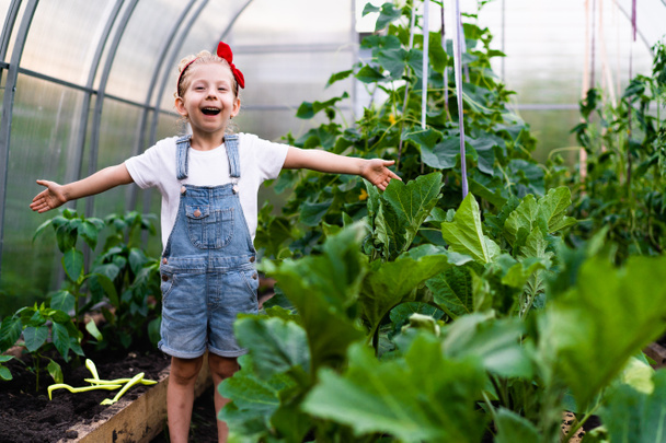 een beetje gelukkig blond meisje in een kas met haar handen omhoog vreugde, plantenverzorging, tuinieren concept voor kinderen - Foto, afbeelding