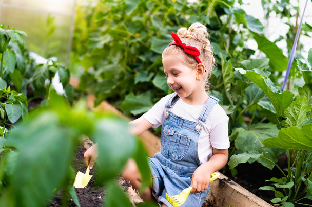 een klein blond meisje in een kas met een schouderblad en een hark zorgt voor planten, het concept van tuinieren - Foto, afbeelding