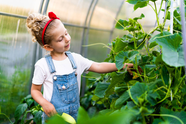 una niña rubia en un invernadero con un omóplato y un rastrillo cuida las plantas, el concepto de jardinería - Foto, imagen