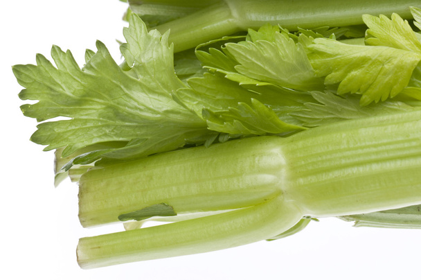 detail čerstvé vybral celeru - Fotografie, Obrázek