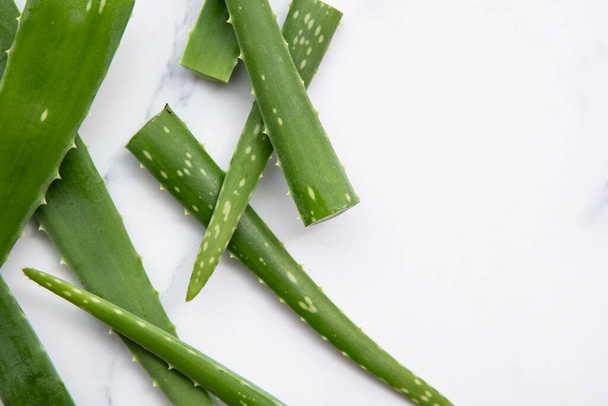 Natural green aloe vera stem health and well being background - Foto, afbeelding