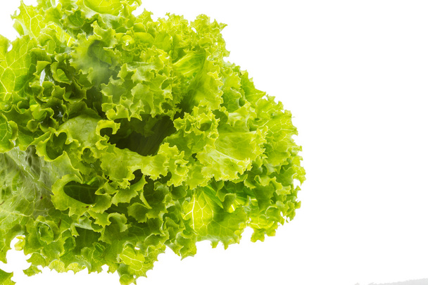 salade bladeren - Foto, afbeelding
