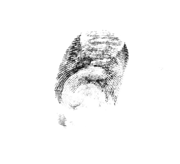 指紋｜print - 写真・画像