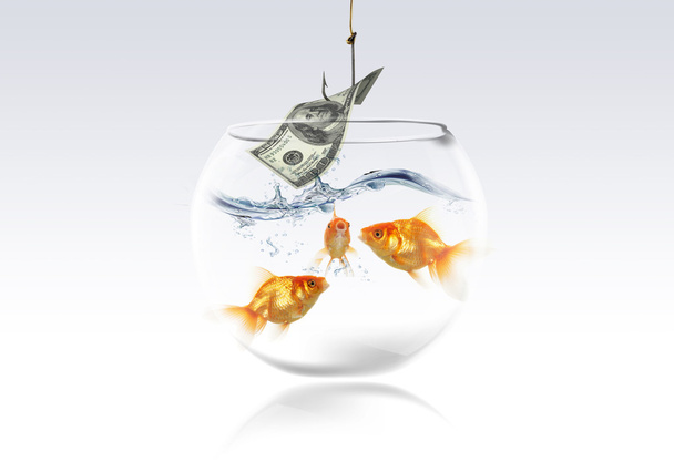 altın balık ve balıkçılık kanca üzerinde dolar para - Fotoğraf, Görsel