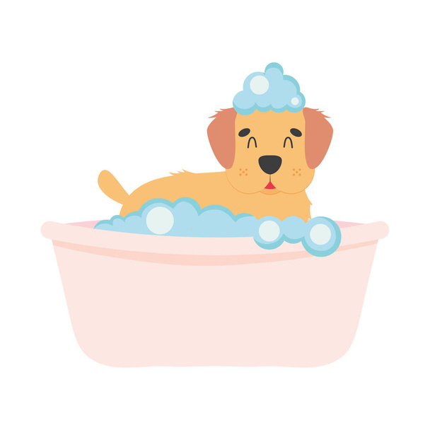 cute cocker spaniel in bathtub - Vector, imagen