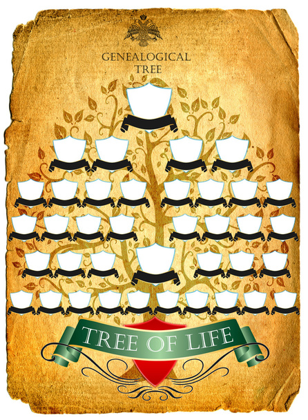 genealogische boom des levens, ouder, ouderschap, stamboom, foto, voorganger - Foto, afbeelding