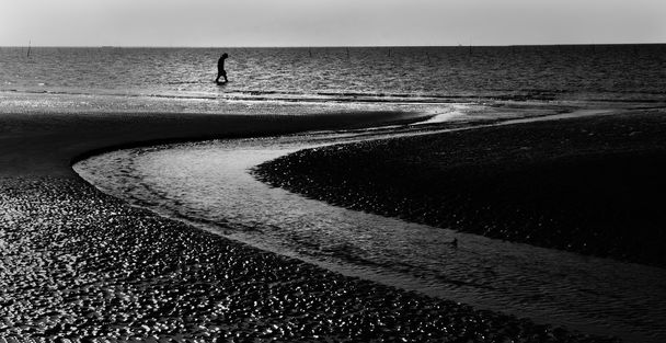 Deniz kenarında yürüyen yalnız adam - Fotoğraf, Görsel