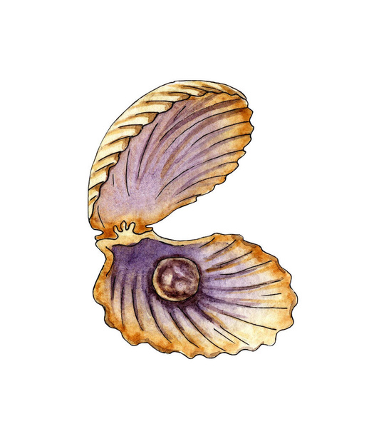 Aquarell-Illustration einer offenen Muschel mit einer Perle. Eine Muschel mit einem Juwel im Inneren. Perlenschmuck. Isoliert auf weißem Hintergrund. - Foto, Bild