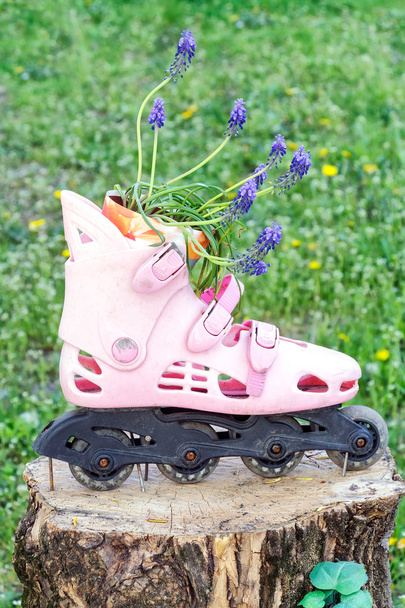 Pink rollerskate as flowerpot for lavender - Photo, Image