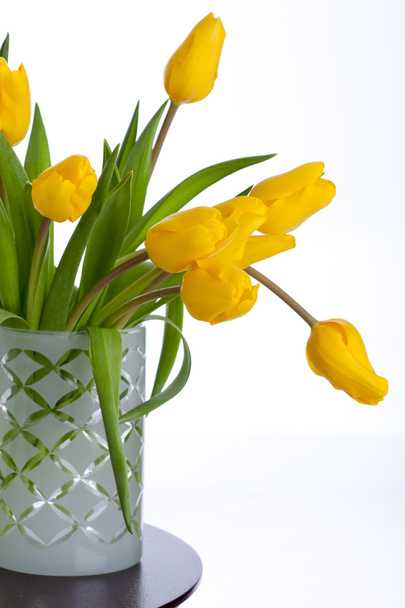Yellow Tulips - Foto, Imagen