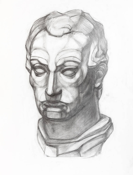 学術図面-白い紙に黒鉛鉛筆で手描きのGattamelata頭の石膏キャストのスケッチ - 写真・画像